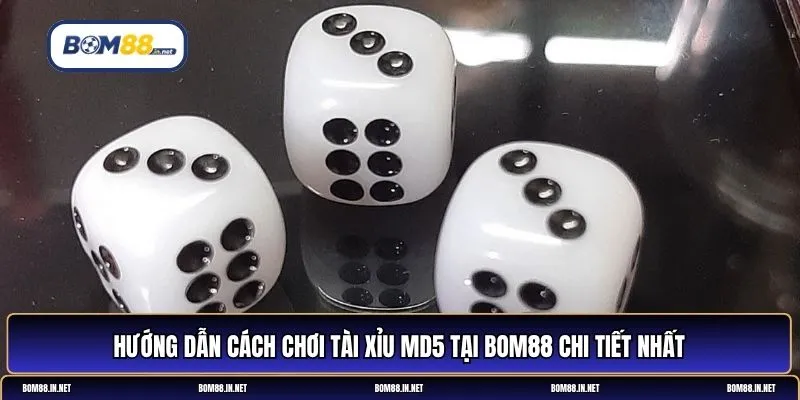 Tài xỉu MD5