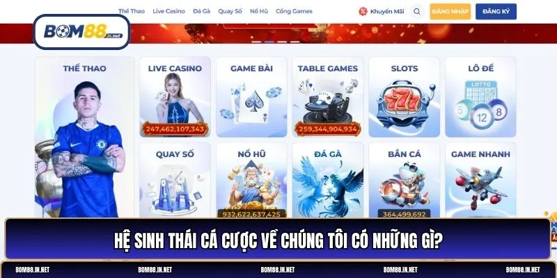 về chúng tôi
